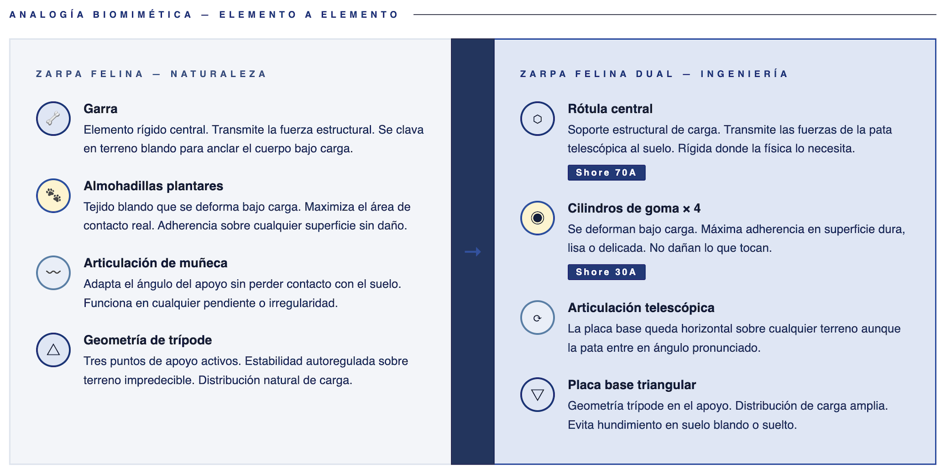 Analogía biomimética de la zarpa felina FELINETEK. Comparativa entre ingeniería y naturaleza
