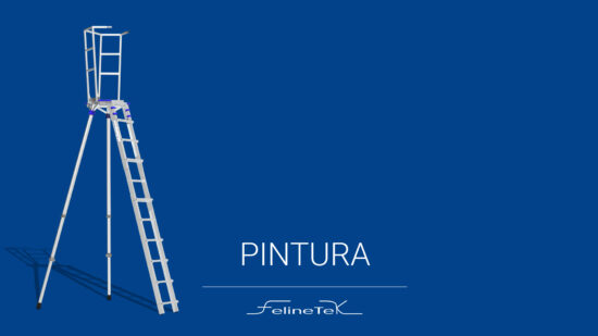 FLTK-videohome-1920×1080-pintura